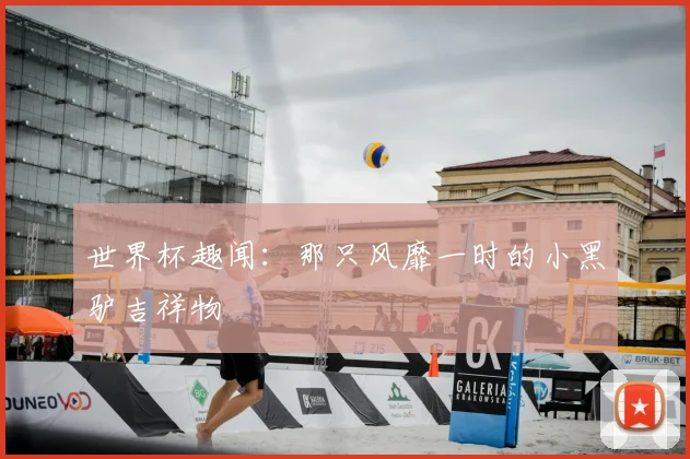 世界杯趣闻:那只风靡一时的小黑驴吉祥物