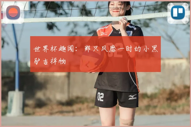 世界杯趣闻:那只风靡一时的小黑驴吉祥物