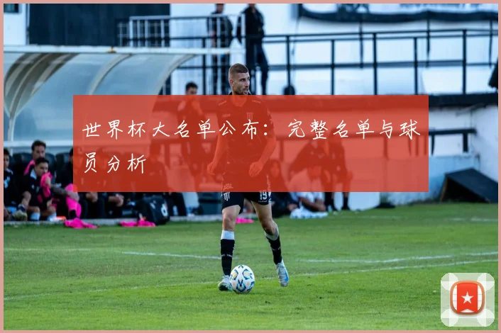 世界杯大名单公布：完整名单与球员分析
