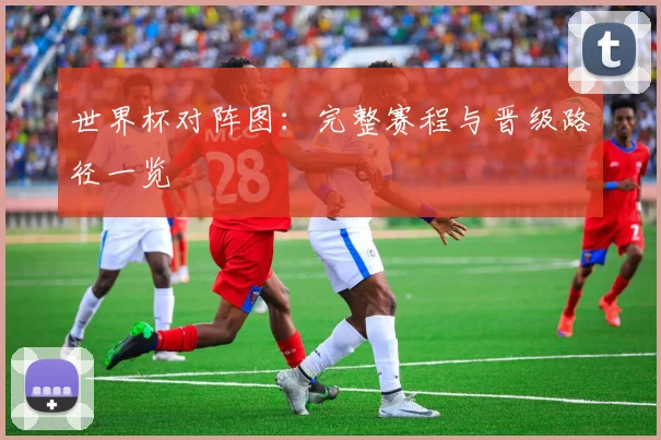 世界杯对阵图:完整赛程与晋级路径一览